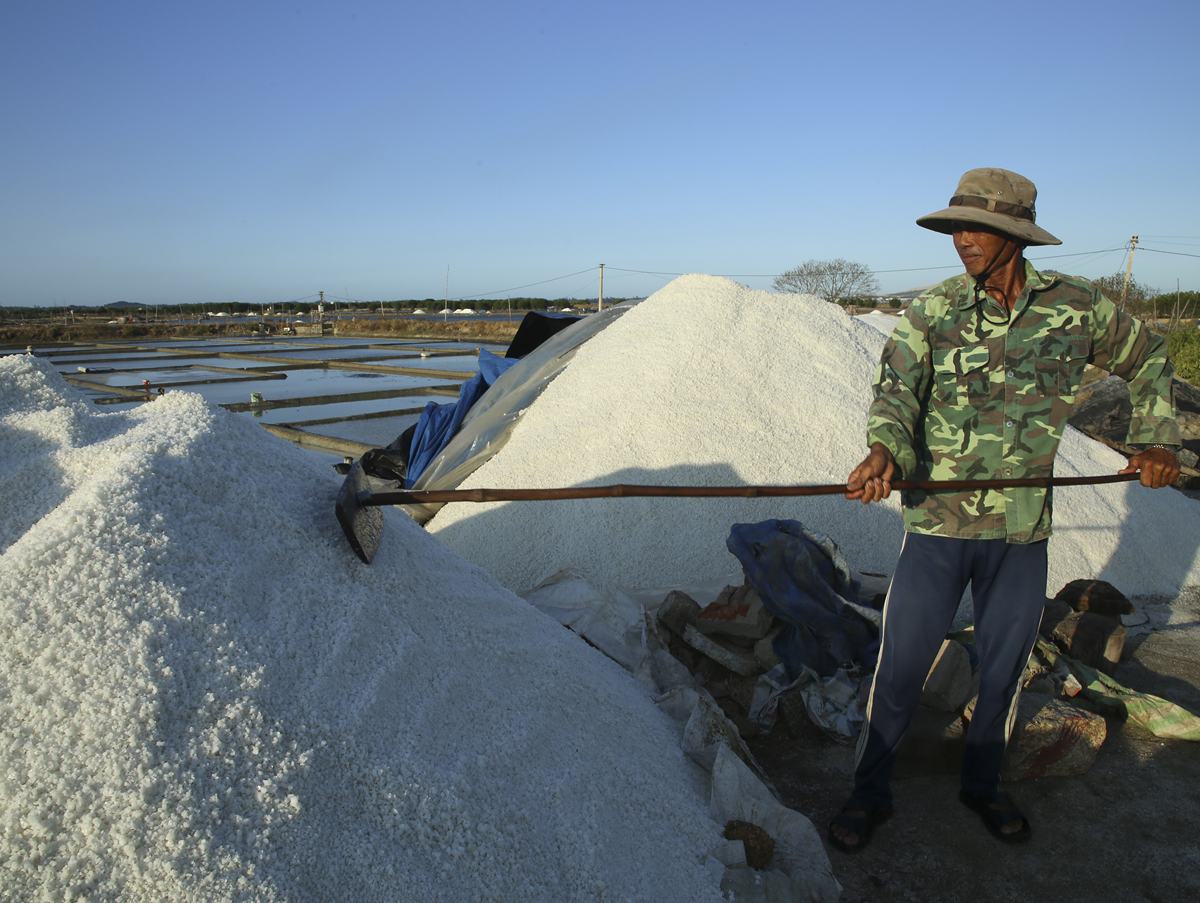 Cả cánh đồng muối rộng lớn, muối trắng tinh chất đống to, đống bé dọc bờ thửa nhưng không bán được.